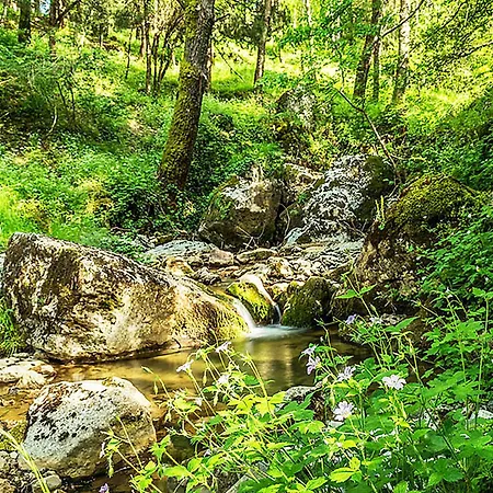 Passo Del Mattino *