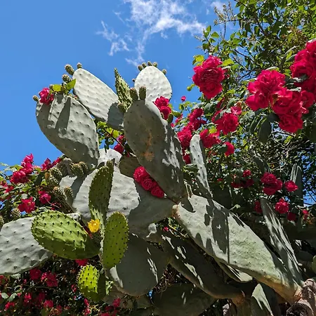 فندق مبيت وإفطار Passo Del Mattino