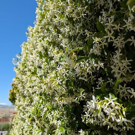 Passo Del Mattino 3* Locati